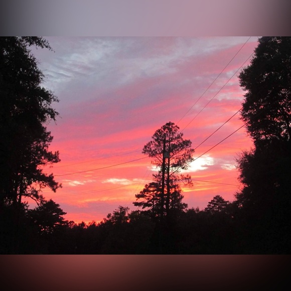 𝓜𝓮𝓮𝓽 𝔂𝓸𝓾𝓻 𝓹𝓸𝓼𝓱𝓮𝓻, 𝓣𝓪𝓶𝓶𝔂 - Picture 4 of 4